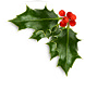 holly