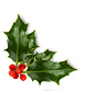 holly